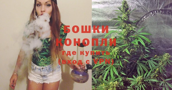 гашик Пыталово