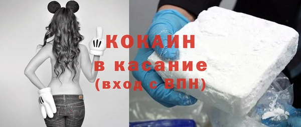 бошки Семилуки