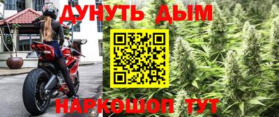 крисы Кандалакша
