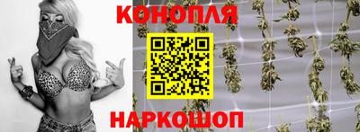 дурь Камышлов