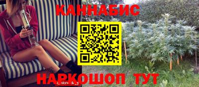 дурь Камышлов
