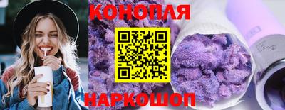 дурь Камышлов