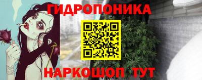 дурь Камышлов