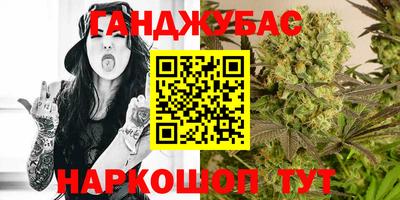 Альфа ПВП Канаш