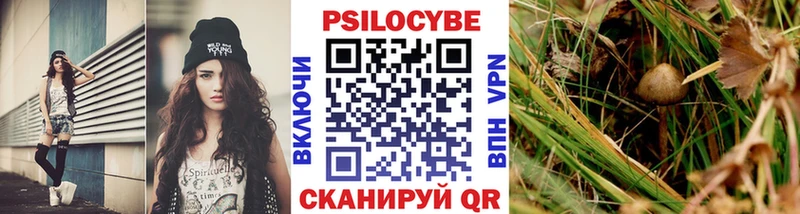 купить наркотики цена  Тайшет  Галлюциногенные грибы MAGIC MUSHROOMS 
