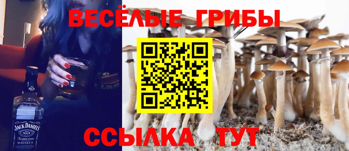 Галлюциногенные грибы мицелий  хочу   Тайшет 