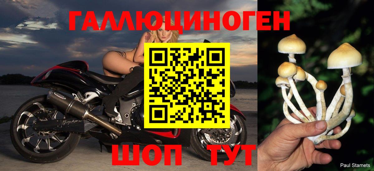Псилоцибиновые грибы GOLDEN TEACHER  Вход с VPN  где купить наркоту  Тайшет 